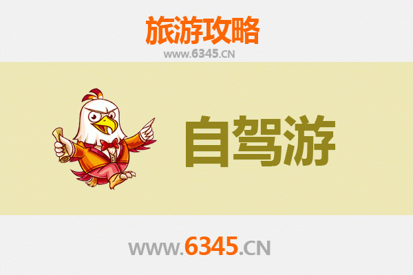 德州齐河家庭自驾游攻略：亲子乐趣与自然探索完美结合