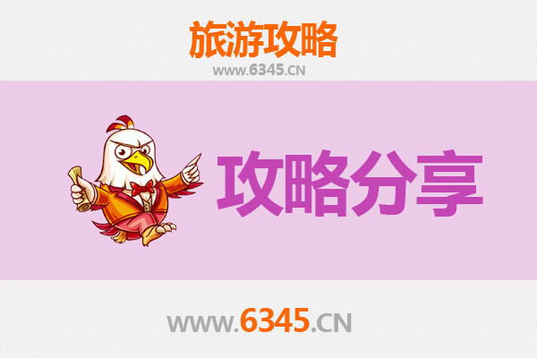 德州齐河旅游攻略：跟团游与自由行全方位对比