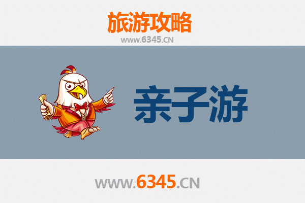 德州齐河亲子游全攻略：探索自然与文化的家庭乐趣