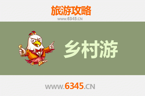 齐河乡村漫游记：生态田园与古韵新风交融之旅